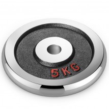 Набор хромированных дисков Voitto 5 кг (4 шт) - d26